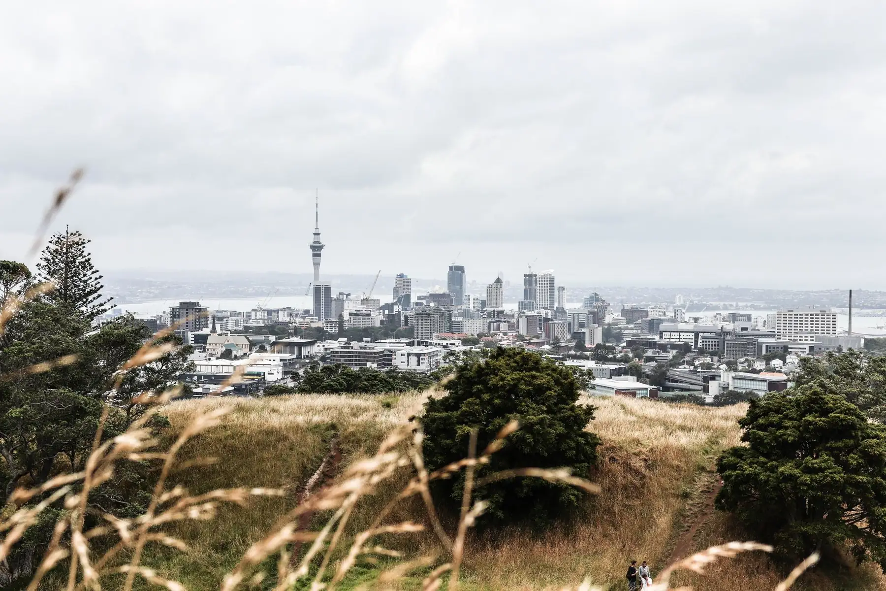 An evening in Auckland Central